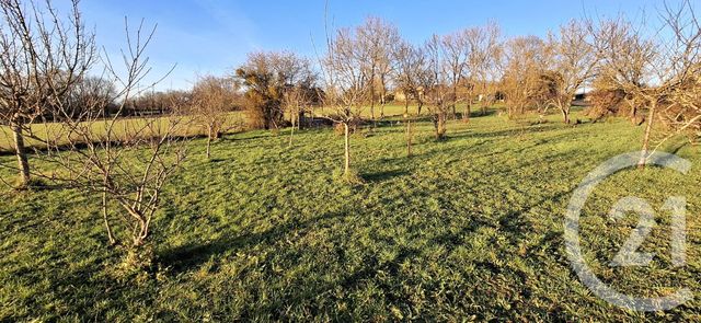 terrain - L ORBRIE - 85